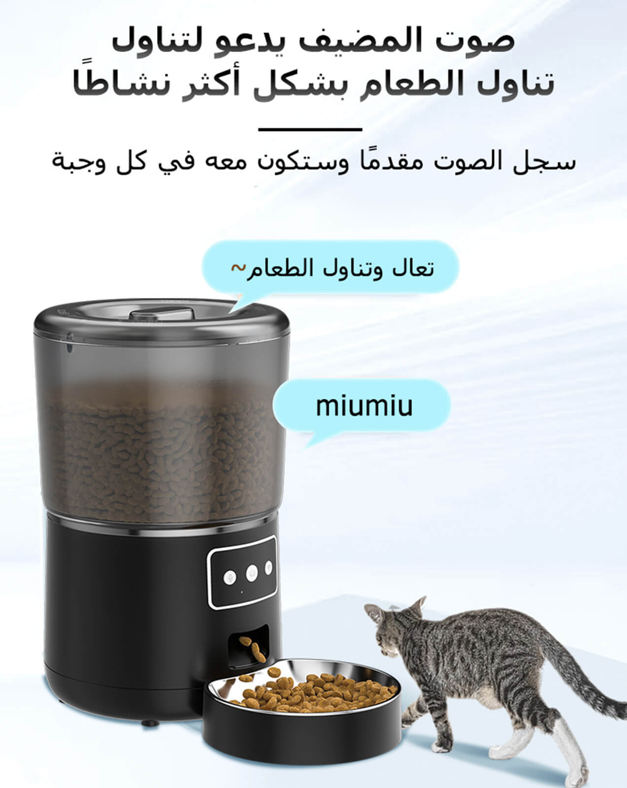 Automatic cat feeder