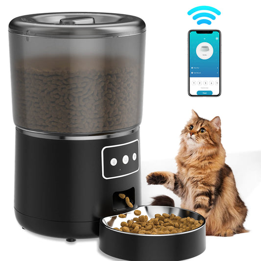 Automatic cat feeder